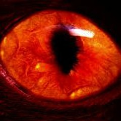 Dont Hate Ft.(Kat$u)