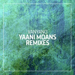 Vanyano - Yaani Moans (Peter Makto & Gregory S Remix)