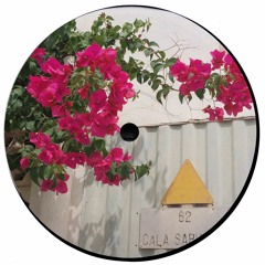 Soothing Melodic House