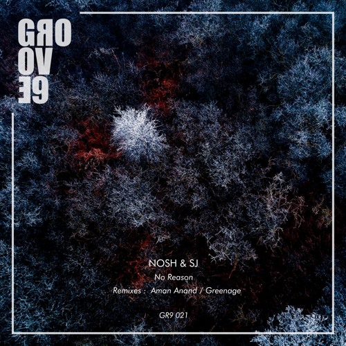 Nosh & SJ - No Reason (Original Mix)