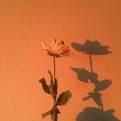 someone like u - adele cover