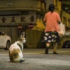 seoul city(feat.jik,개미친구)