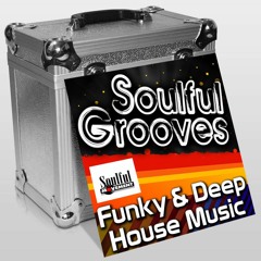 Funky House Sessions Mix Feb 2011