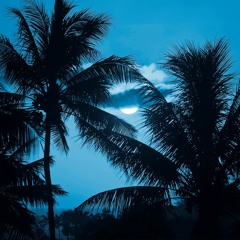 moonlit