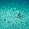 Indian Summer in a deep house - Bebz Mix