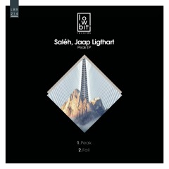 LBR214 Saleh, Jaap Ligthart - Fall [Lowbit]
