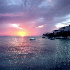 JOHN PATRICK RICE- CARDIO