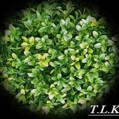 Voyage Pt. 2 (prodbydsyre)