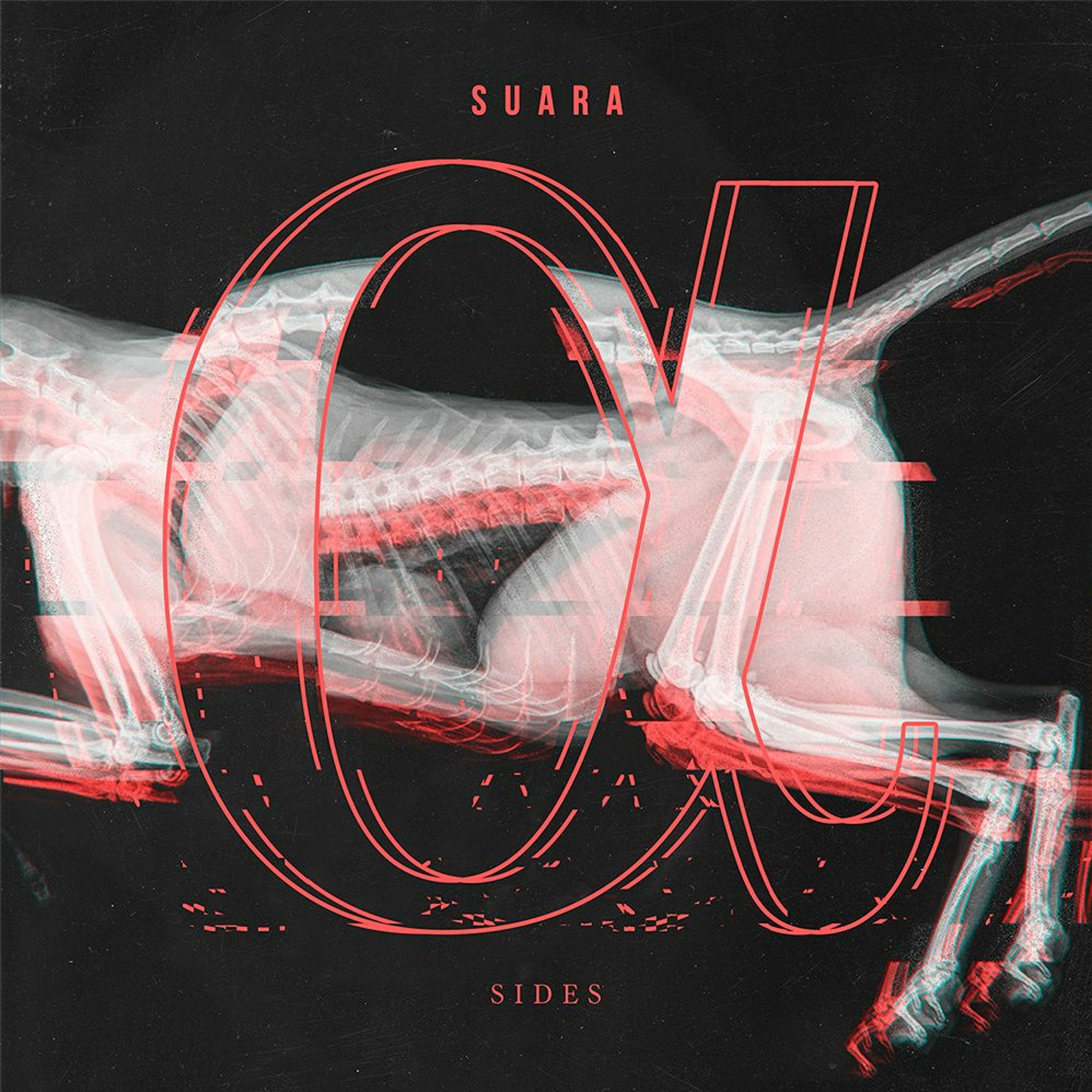 Tracks & Remixes