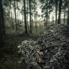 Kehrääjä