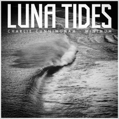 Charlie Cunningham - Minimum (Acoustic Cover)