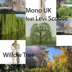 Willow Tree