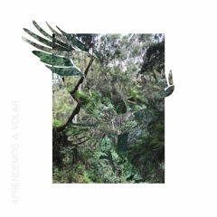 Aprendemos A Volar  Feat Nativa (Original Mix)