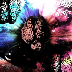 Cognitive Dissonance