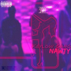 Nawty(Prod. Fly Melodies)