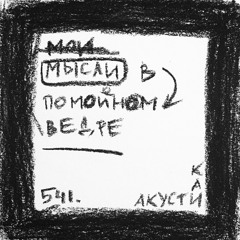 мои мысли в помойном ведре (акустика)