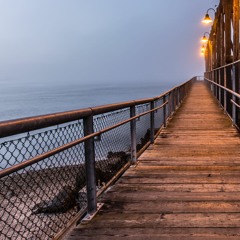 TOGETHER. (Prod. Boxboys)