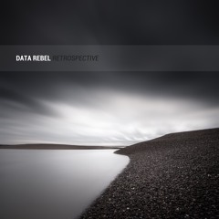 Data Rebel - Retrospective (Sampler)