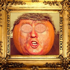 ADDERALL ORANGE LIKE PUMPKIN