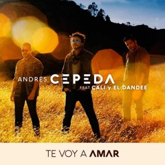 85 Andres Cepeda Ft. Cali Y El Dandee - Te Voy a Amar (Dj Erve Vg'18) Descarga En Buy 3 Versiones