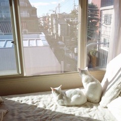 I Like It When You Say My Name