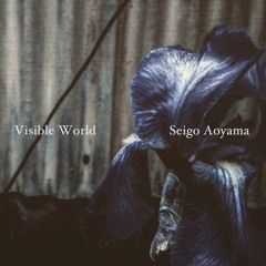 Seigo Aoyama - Entfernung