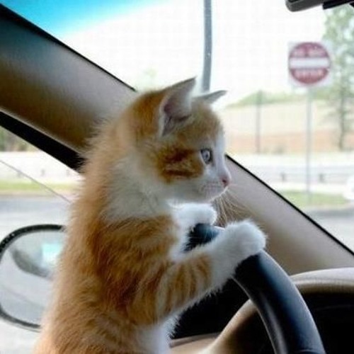 Cruising with Jonathan