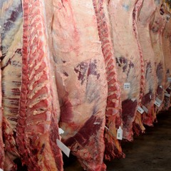 Industrialized Life Extracting Mechanism