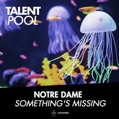 Notre Dame - Something's Missing Feat. Netsiah