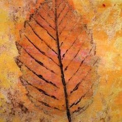 Leaf Falling In Autumn