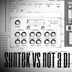 Syntek vs Not a Dj - Gabba Sickness