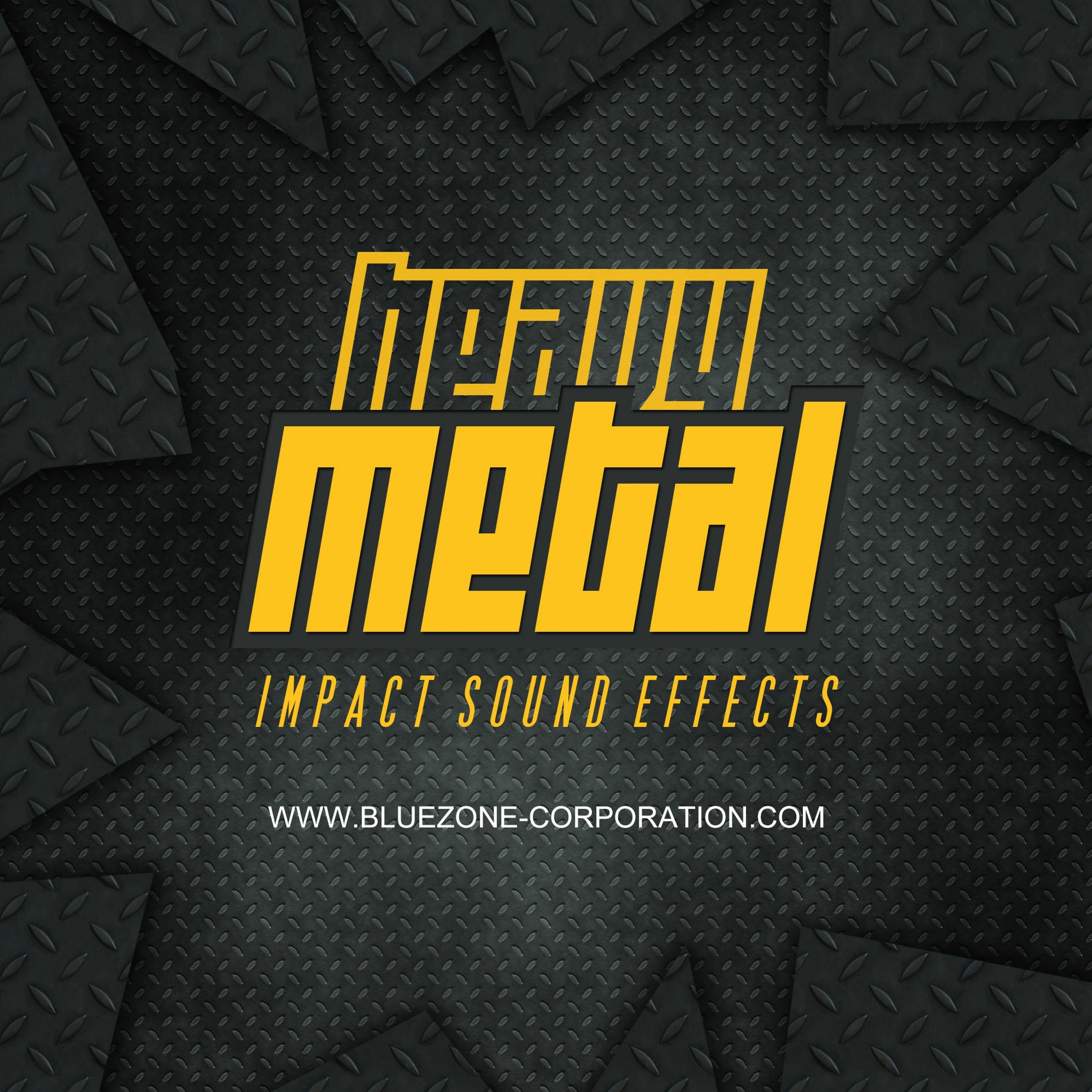 Bluezone Corporation