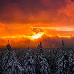 Pile of Garbage Beats