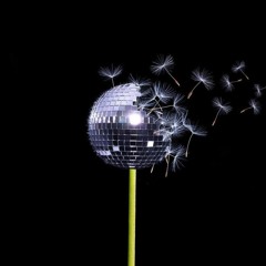 ElectroLux vol. 13