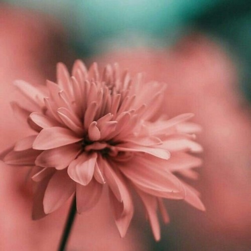 3 composers - bangun cinta by Mifta Hul Zannah | Free Listening on