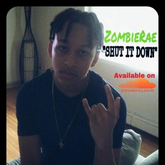 ZombieRae "Shut it Down"