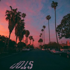 PALM3 | A Chill Mix 2018
