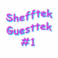 Shefftek Guesttek #1 Error Message