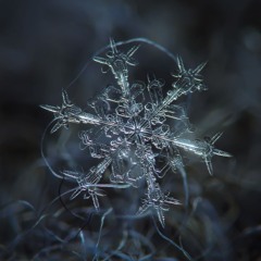 Snowflake (Prod. Guala Beatz)