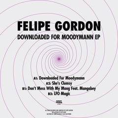 Felipe Gordon - Downloaded for Moodymann EP // NTYG 003