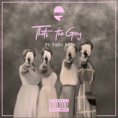 Thats The Gang (Asshole Remix) - Pu Tang Tay