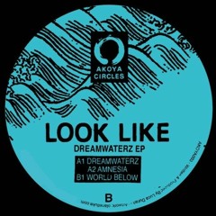 Look like - Amnesia