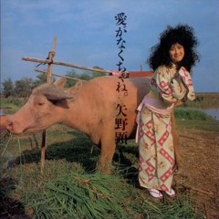 矢野顕子 -- どんなときも