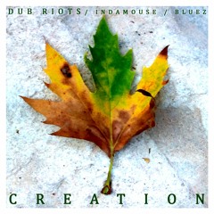 Dub Riots - Rat A Cut