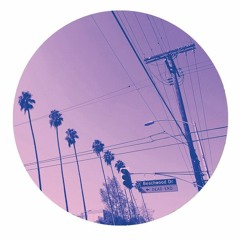 DJ Boring - Different Dates (PALMS006)