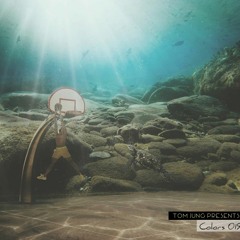 Tom Jung Presents Colors 019 (Deep+EDM)