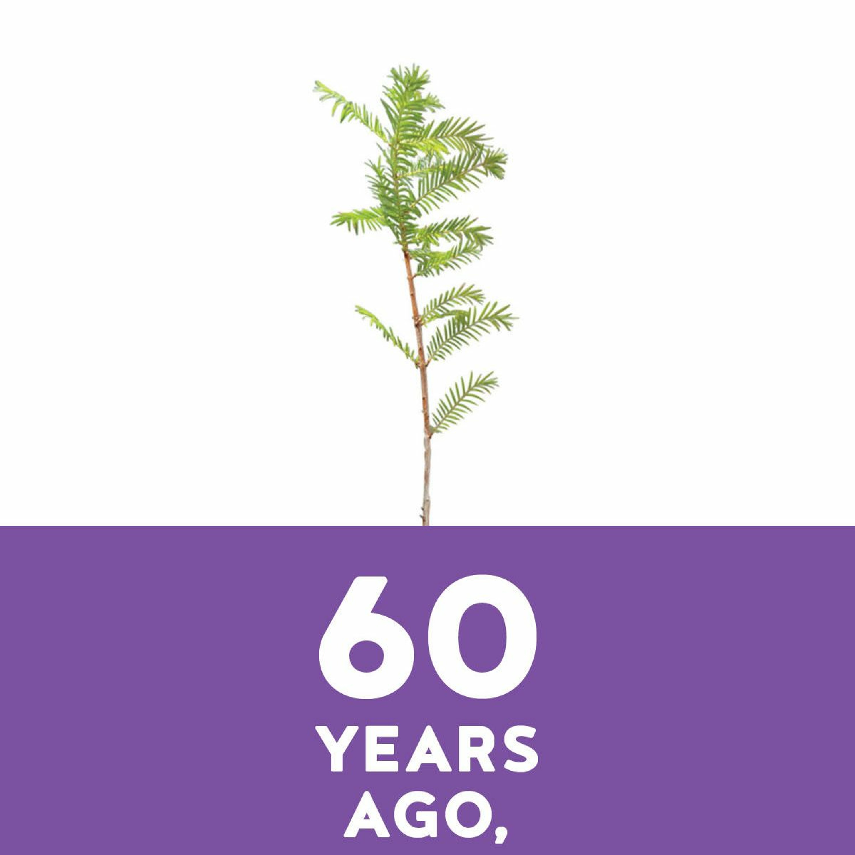 Valley's 60th Anniversary Celebration Worship with Present and Previous Pastors - Sept 30, 2018 episode artwork