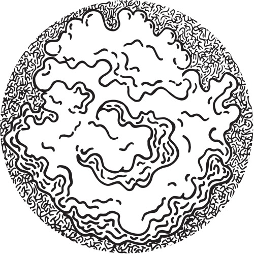 Ostrowski “Primary Fluctuation” (R-EP041) preview