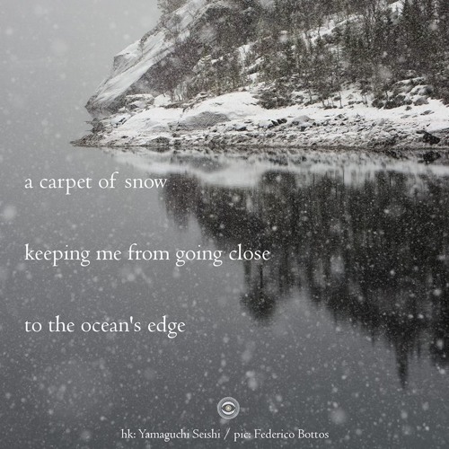 Frozen Warmth (NaviarHaiku247)