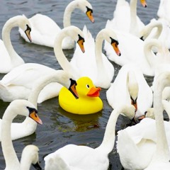 Out of Place